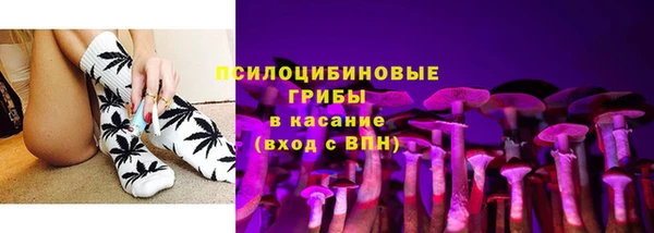 эйфоретик Кукмор