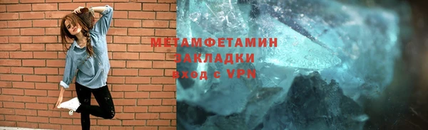 гидра Нестеровская
