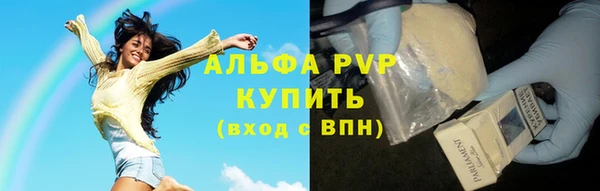 дживик Калининец