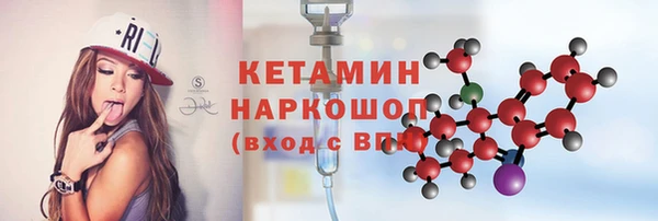 гидра Нестеровская