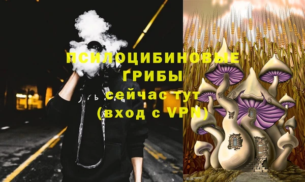дживик Калининец