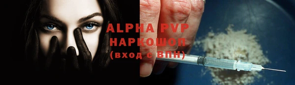 гидра Нестеровская