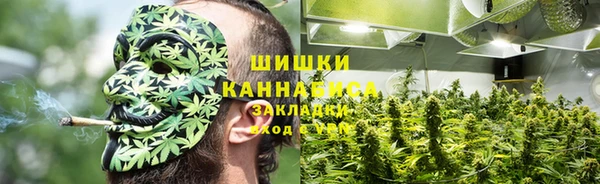 эйфоретик Кукмор