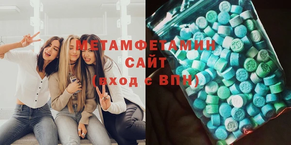 гидра Нестеровская