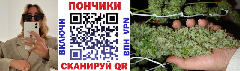 MEGA как зайти  цены наркотик  Пенза  Конопля SATIVA & INDICA 